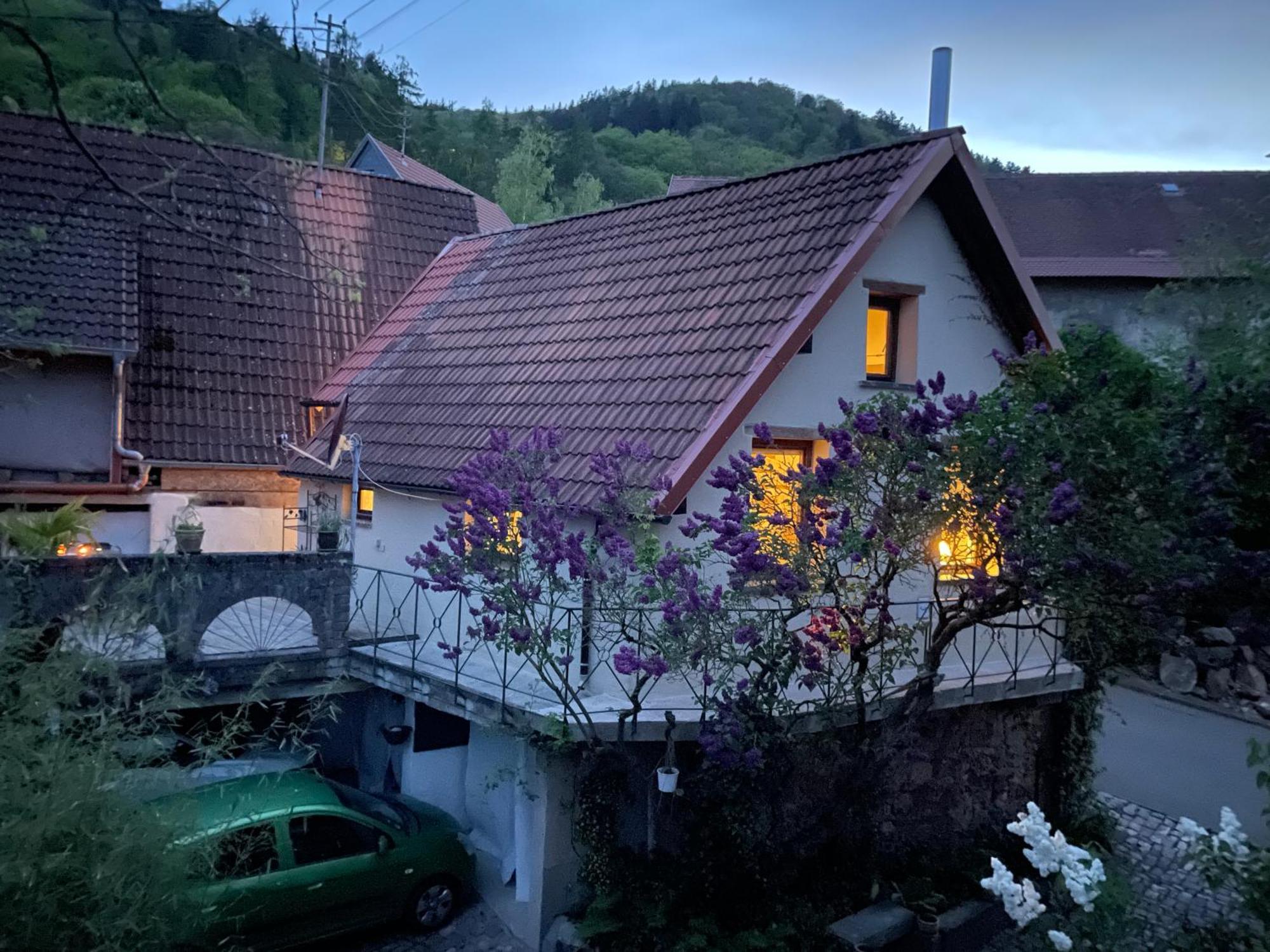 Ferienhaus 